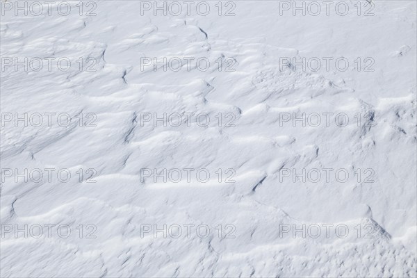 Snowdrift