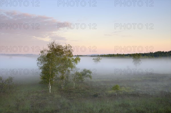 View from lookout tower onto moor
