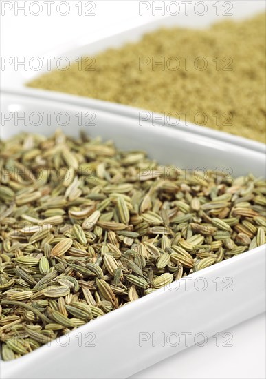 Powder and fennel seeds