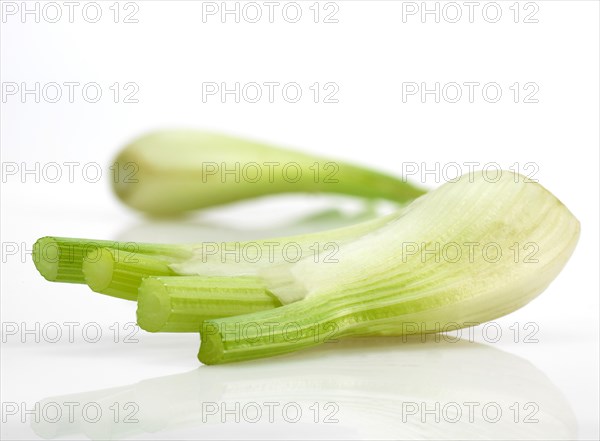 Small fennel