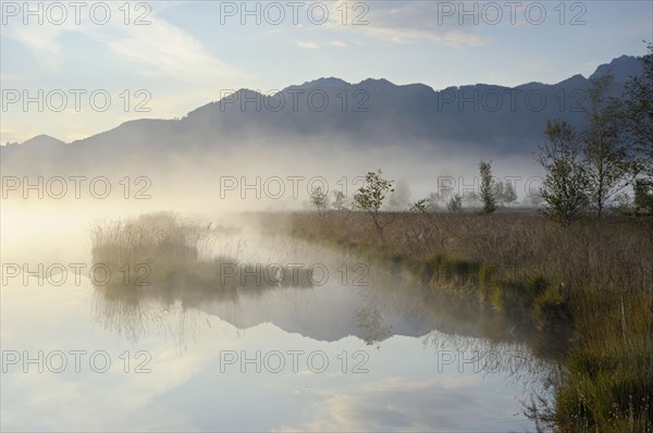 Foggy atmosphere in the moor