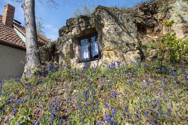 Cave dwelling