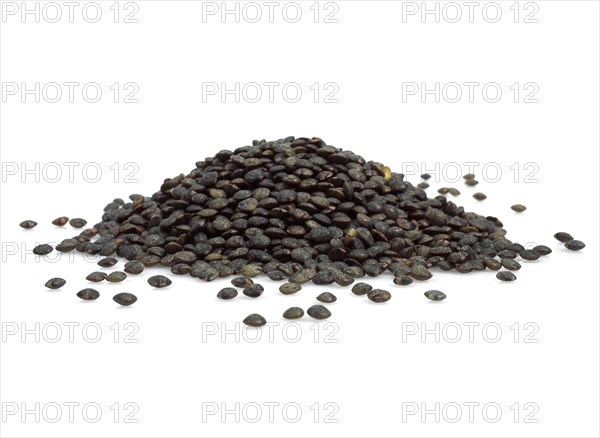 French green puy lentils