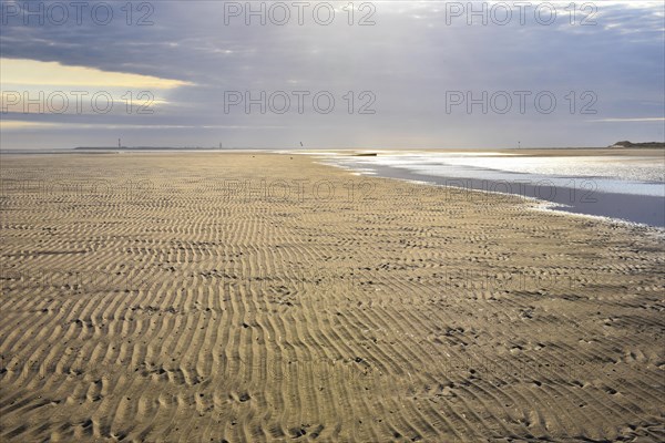 Sandy beach beach with ripple pattern
