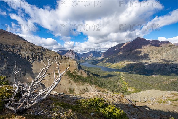 View of Two Medicine Lake with dead tree