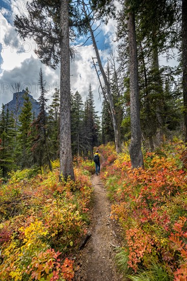 Hiker on a trail between trees and bushes in autumn colors