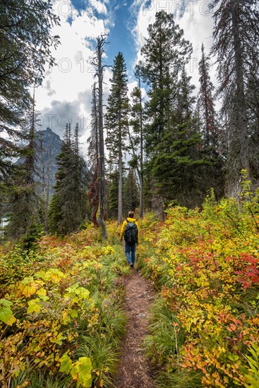 Hikers on a trail through brush in fall colors