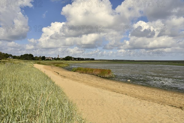 Sand and salt marshes at the Wadden Sea