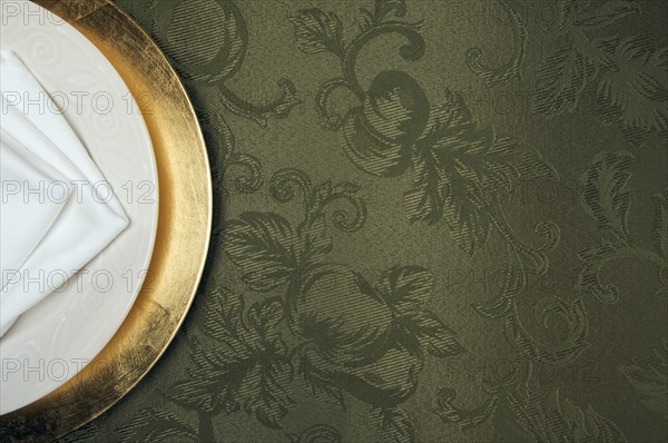 Silk background and plate setting overhead