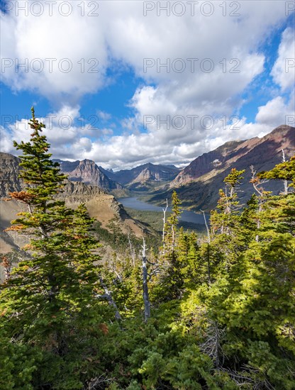 View of Two Medicine Lake with forest