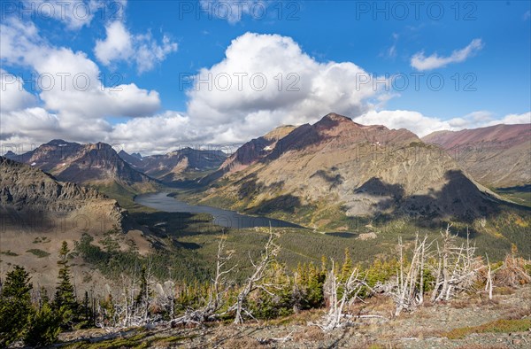 View of Two Medicine Lake with dead trees