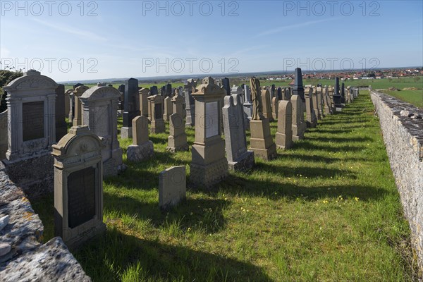Old Jewish cemetery since 1432 with view of Roedelsee
