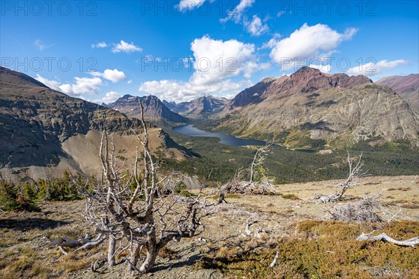View of Two Medicine Lake with dead trees