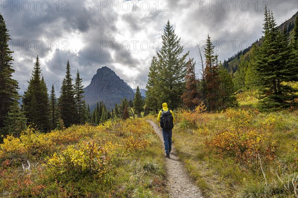 Hiker on a trail between trees and bushes in autumn colors