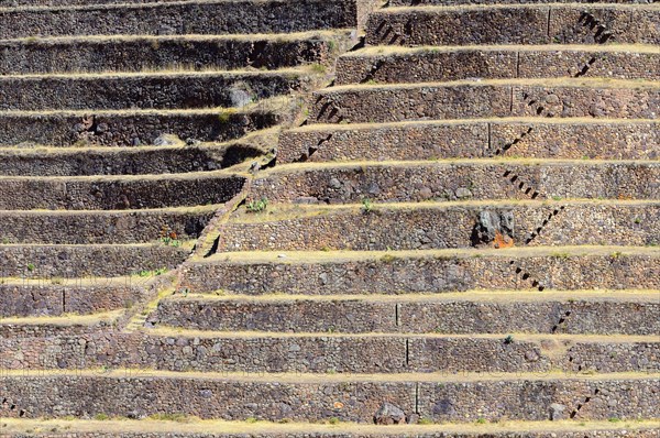 Walled terraces in the Inca ruins
