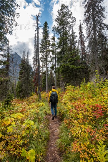 Hikers on a trail through brush in fall colors