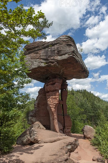 Mushroom rock