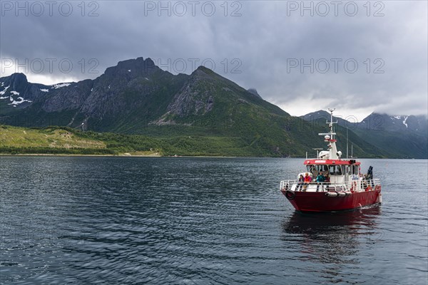 Little ferry bringing tourists to Svartisen glacier