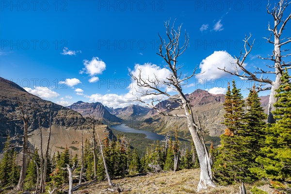 View of Two Medicine Lake with dead trees