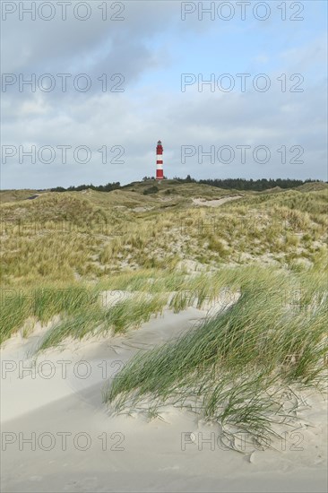 Lighthouse in dune landscape
