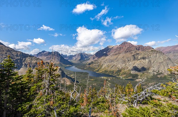 View of Two Medicine Lake with forest