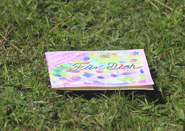 Self painted greeting card lies in a meadow