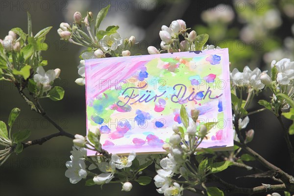 Self painted greeting card hanging in tree