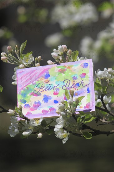 Self painted greeting card hanging in tree