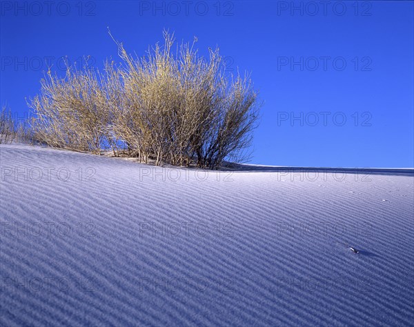 White Sands Gypsum Desert National Park