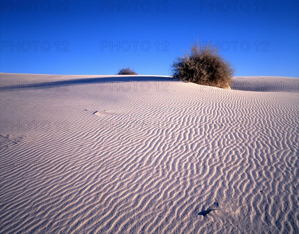 White sands Gypsum Desert National Park