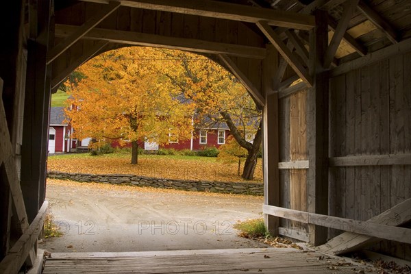 Autumn