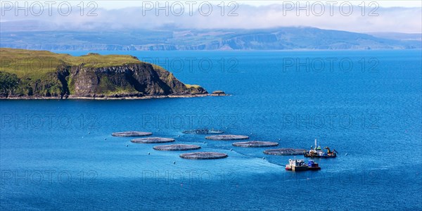 Aquaculture
