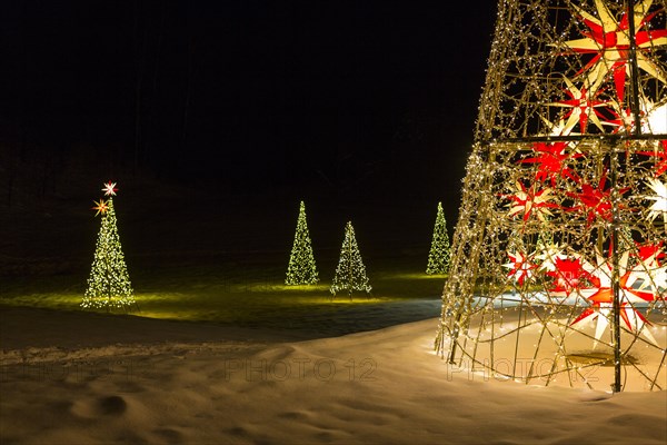 Fairy lights and stars as Christmas trees