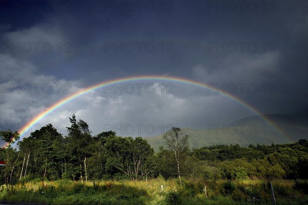 Rainbow