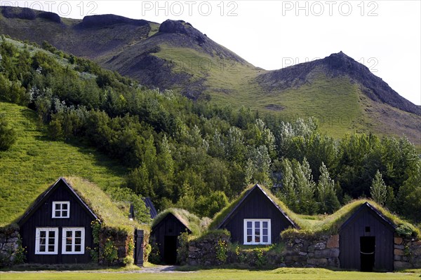Grass sod houses