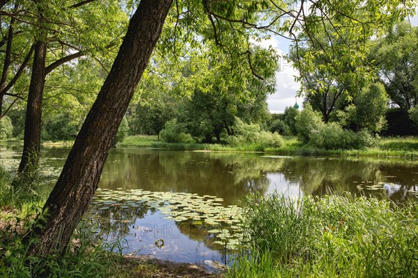 Landscape with Trubezh river