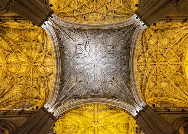 Vaulted ceiling