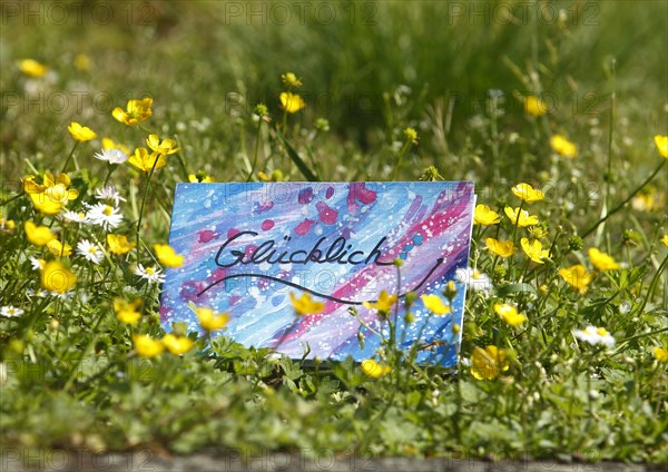 Self painted greeting card lies on flower meadow