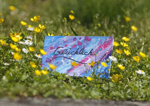 Self painted greeting card lies on flower meadow