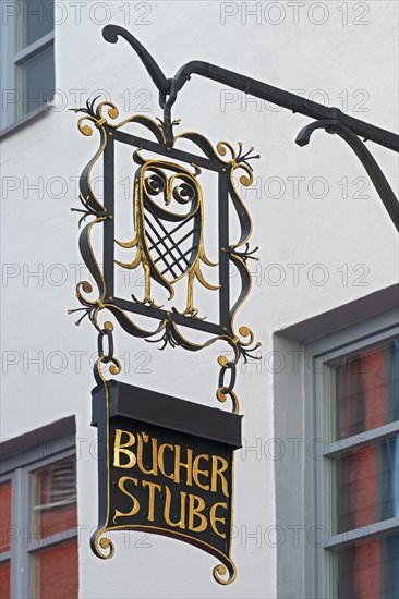 Nose plate with stylized owl