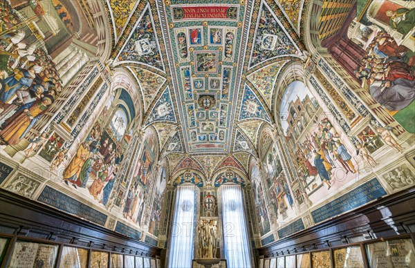 Vault and walls with frescoes on the life of Cardinal Enea Silvio Piccolomini