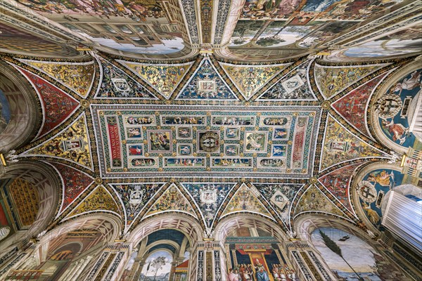 Vault and walls with frescoes on the life of Cardinal Enea Silvio Piccolomini