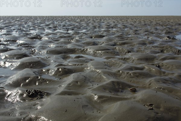 Wadden Sea in the North Sea