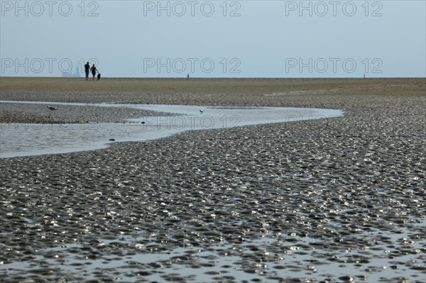 Wadden Sea in the North Sea