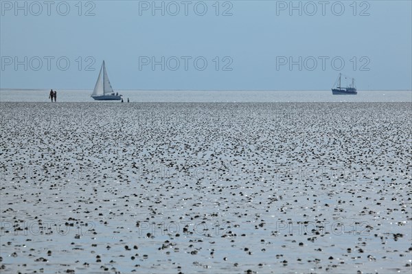 Wadden Sea in the North Sea