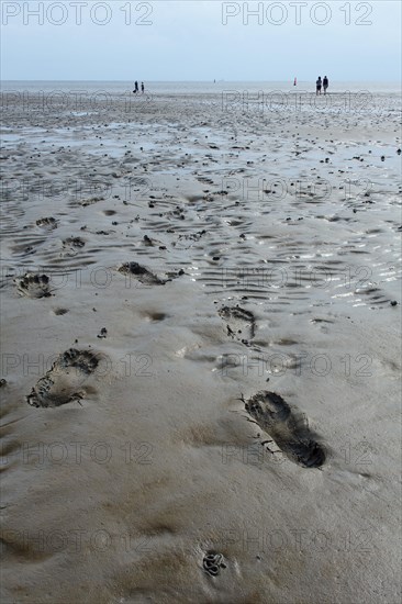 Wadden Sea in the North Sea