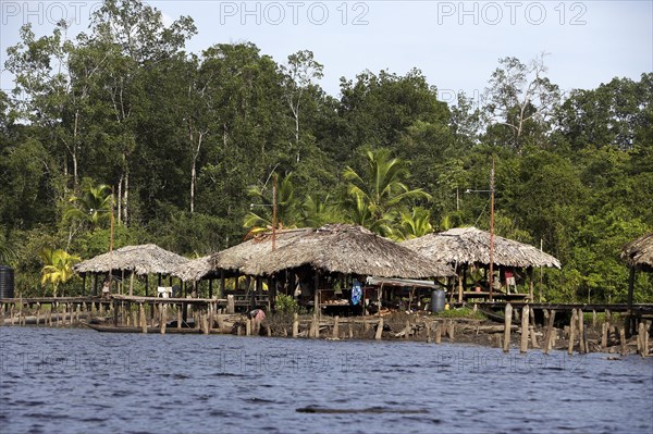 WARAO'S HOUSE ON STACKS