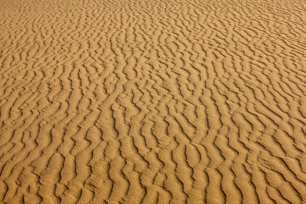 DESERT NEAR WALVIS BAY IN NAMIBIA