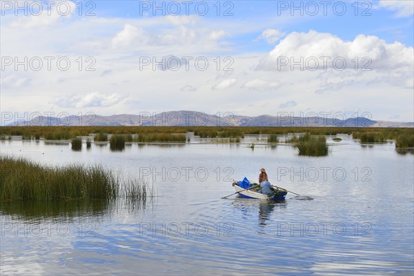 Rowing boat in the reeds