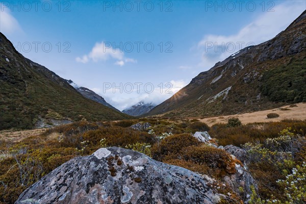 Landscape